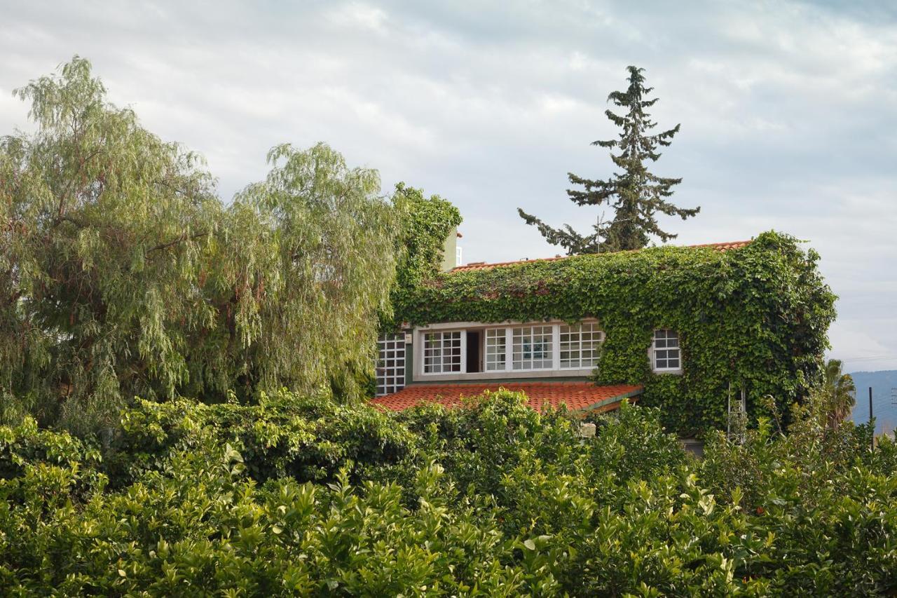 La Casa Verde Murcia Buitenkant foto